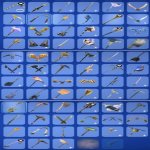 🎨 126 скінів | 🌟 Fortnite акаунт