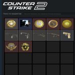 🌟 FACEIT LVL 5 | 🆔 2312 ELO | 🕒 16 games — Ready for Ranked Matches!