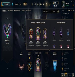 🚀 EUW Level 418, Rank Bronze! 🎮