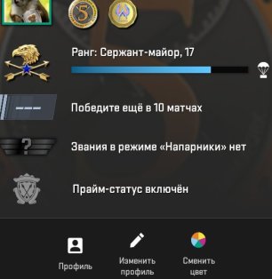 🌟 17 ранг CS2 | 🔥 123 часа | 🟢 Готов к рейтинговым матчам!