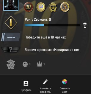 🏆 Rank 9 CS2 | 💎 Profile Level 11 | 🕒 29 hours — Ready for high-level competition!