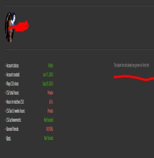 🏆 CS2 Prime | 🎯 Faceit LVL 22 | 🕒 110 hours — Ready for Matches!