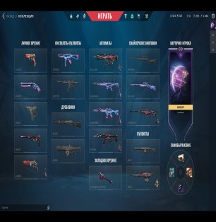 🎯 Valorant account | Silver 1 | EU | 16 agents