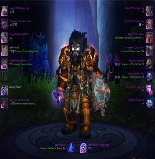 🎮 WoW account | Level 80 | Alliance | Russian Server