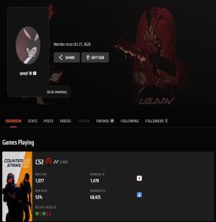 💥 10 LVL FACEIT | 🎯 2500 ELO | 🔥 Готовий до рейтингових матчів!