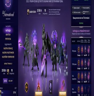 🏅 MMR 3000 | 🕒 1300 годин | 🛡 8000