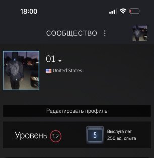 🔥 CS Prime | 🎯 Faceit LVL 5 | 🕒 250 hours - Ready for Competitions