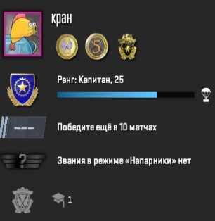 🏅 MMR 500 | 🕒 463 hours | 🛡 3784