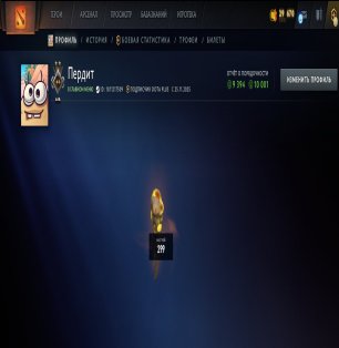 🏅 MMR 1024 | 🕒 231 часов | 🛡 9394