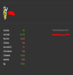 🔥 CS2 Prime | 🎯 Faceit LVL 0 | 🕒 149 hours — Ready for Competitive Play