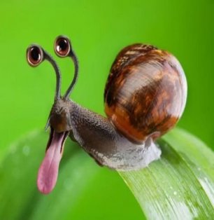 🎨 136 skins | 🌟 Fortnite account