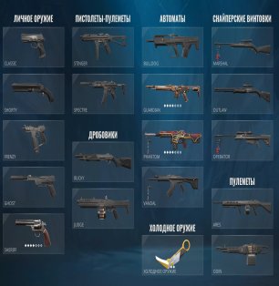 🎯 Valorant account | Rank: Unlocked | Server: RU | 20 agents