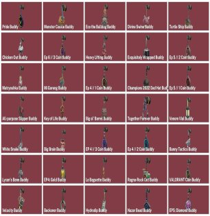 🎯 Valorant account | Ranked unlocked | EU | 14 agents