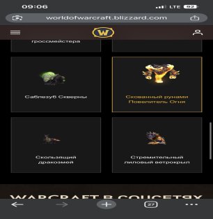 🎮 WoW account | Level 80 | Horde | Howling Fjord