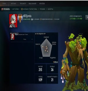 🏅 MMR 6367 | 🕒 223 hours | 🛡 11458