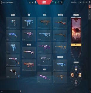 🎯 Valorant account | Platinum 1 | EU | 16 agents