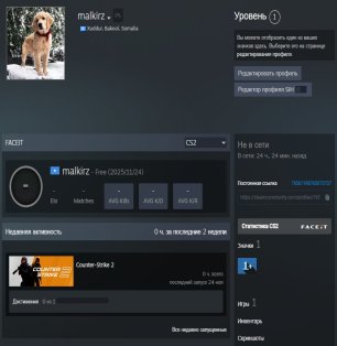 💎 Faceit LVL 4 | 🕒 0 годин — Готовий до змагальних матчів!