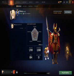 🏅 MMR 6020 | 🕒 1529 hours | 🛡 8096