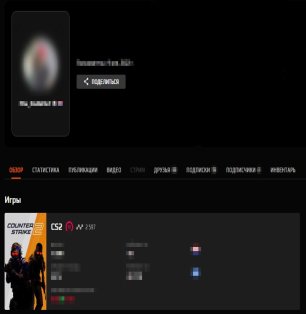 🔥 Faceit LVL 10 | 🏆 2597 ELO | ⚔️ 1208 matches — Ready for tournaments