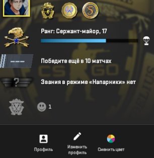 🏆 CS2 Prime | 🎯 Rank 17 | 🕒 67 hours — Ready for Competitive Play