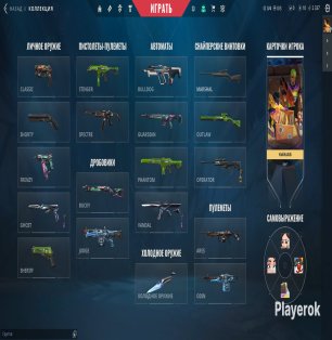 🎯 Valorant account | Gold 2 | EU | 17 agents