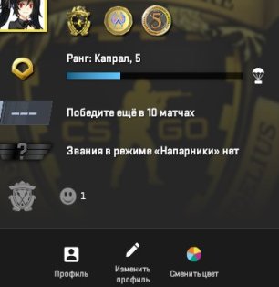 🏆 CS2 PRIME | 🎯 Faceit LVL 5 | 🕒 13 годин — Готовий до змагальних матчів!