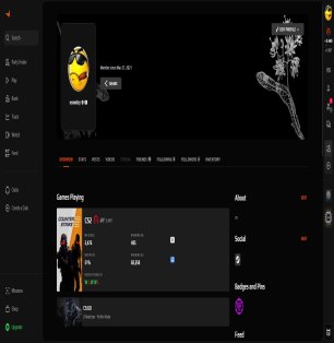 🔥 Личный акаунт CS 2 | 🎯 10 уровень FACEIT | 🕒 2400 ELO — Готов к матчам!