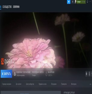 🏅 MMR 1918 | 🕒 2260 годин | 🛡 5900