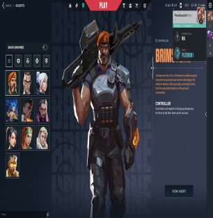 🎯 Valorant account | Platinum 1 | EU | 10 agents