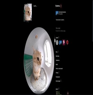 🏆 FACEIT LVL 7 | 🎯 1418 ELO | 🕒 324 матча — Готов к соревнованиям!