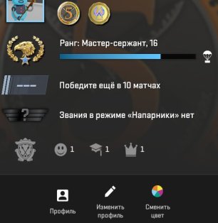 🔥 CS2 PRIME | 🏅 Rank 16 | 🕒 101 hours — Ready for Competitive Matches