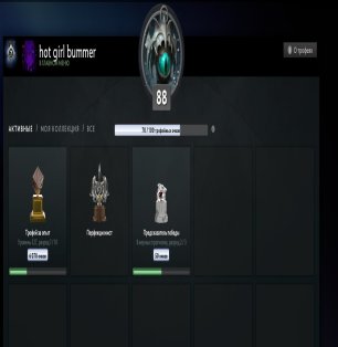 🏅 MMR 4800 | 🕒 3500 годин | 🛡 10000