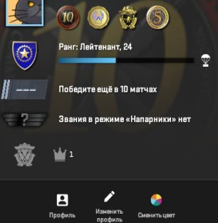 🎮 CS2 Prime | 🥇 Rank 24 | 🕒 262 hours — Ready for ranked matches!