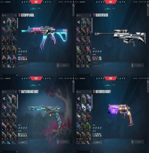 ● 20 skins | 1 knife | Glitchpop dagger | Vandal EX.O | Vandal Ancient Flame | Operator Reaper