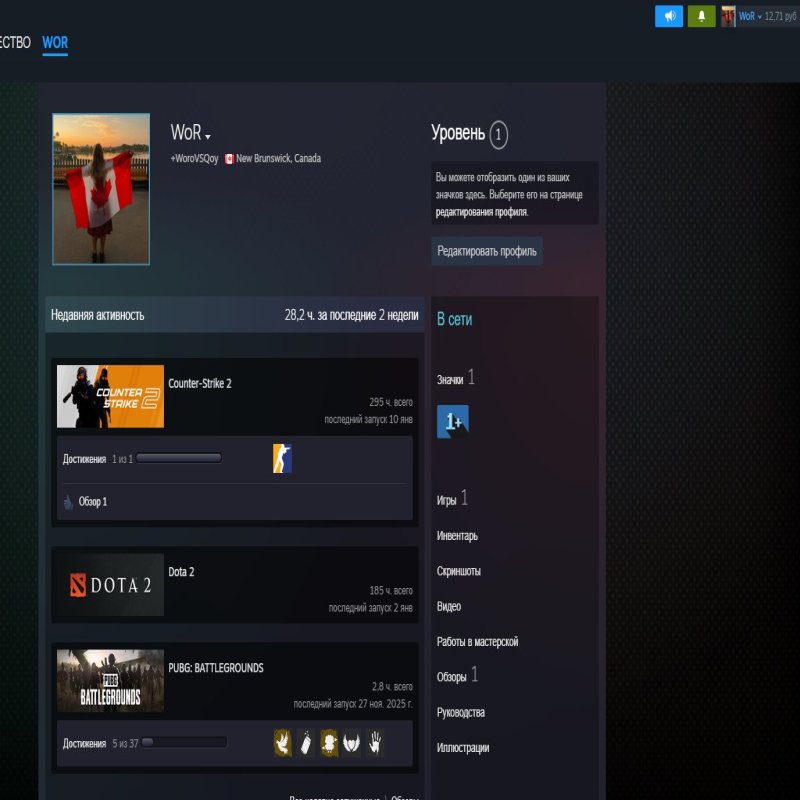 🔥 CS Прима | 🎯 Faceit LVL 3 | 🕒 100 часов — Готов к Соревновательным Матчам