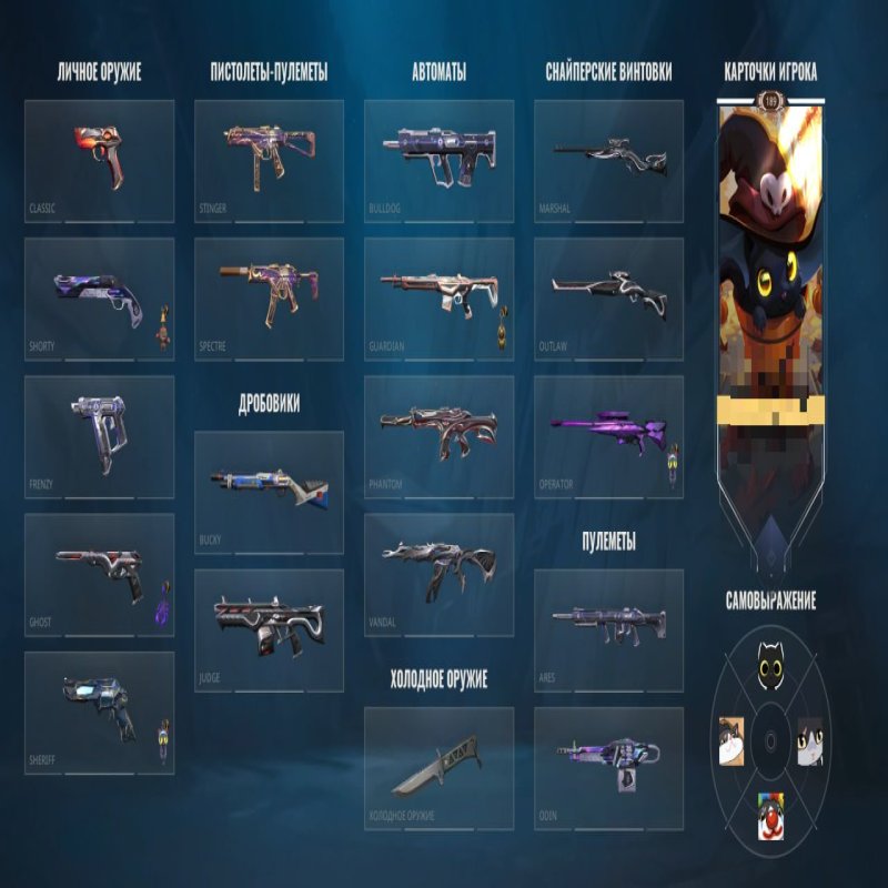 🎯 Valorant account | Rank: RADIANT | EU | 28 agents