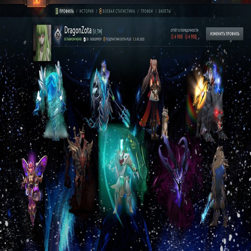 🏅 MMR 2800 | 🕒 3425 hours | 🛡 4900