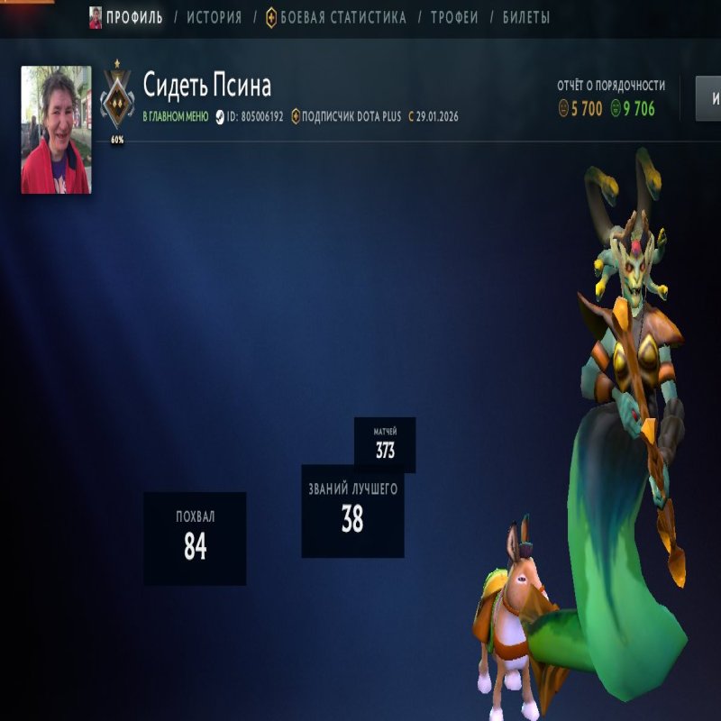 🏅 MMR 863 | 🕒 234 hours | 🛡 5700