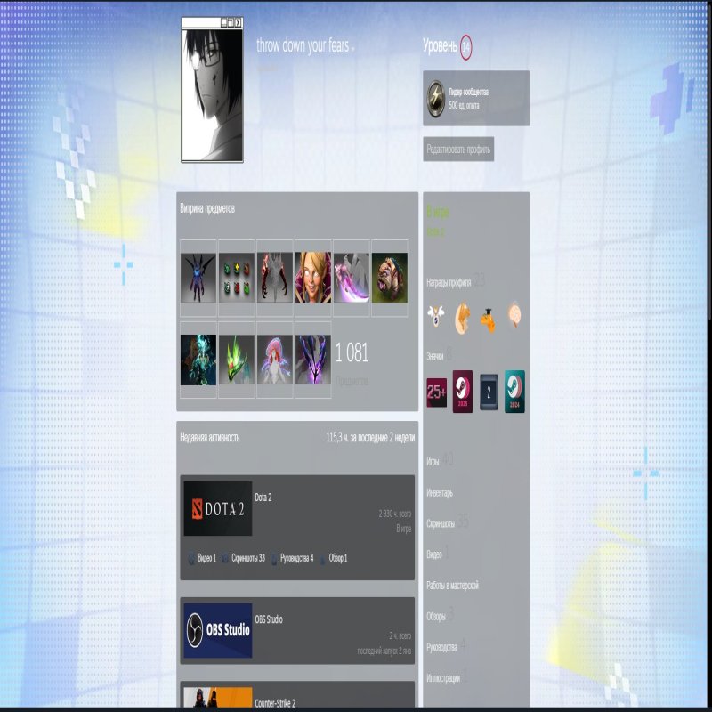 🏅 MMR 3600 | 🕒 3000 hours | 🛡 8000