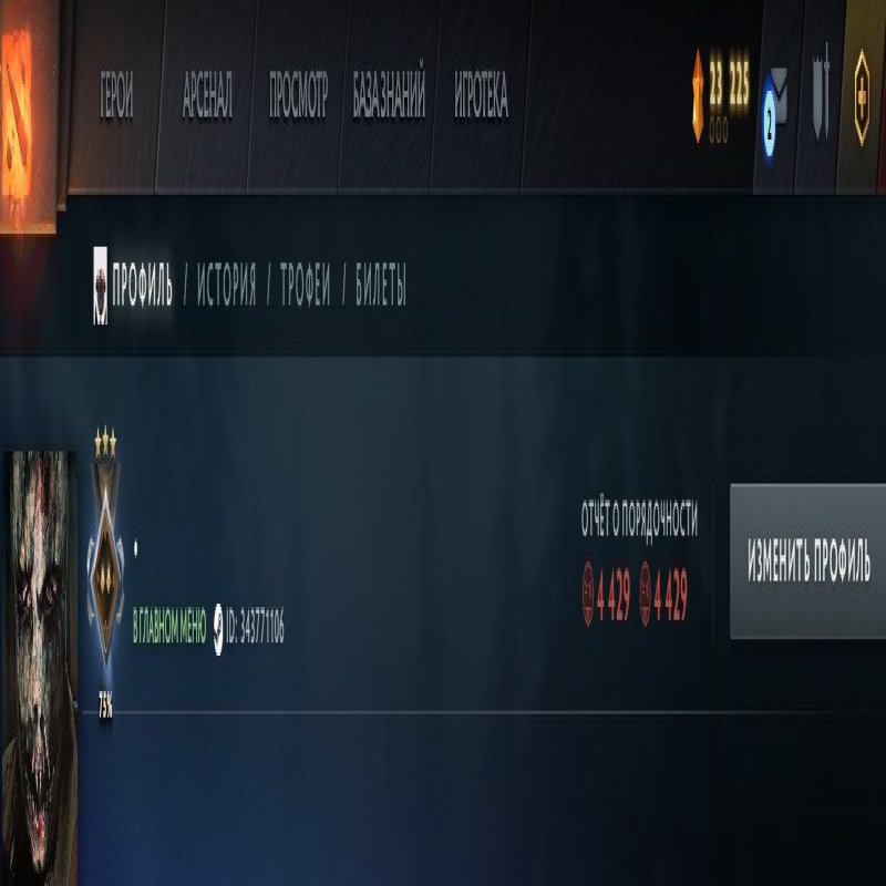 🏅 MMR 1169 | 🕒 235 hours | 🛡 4429