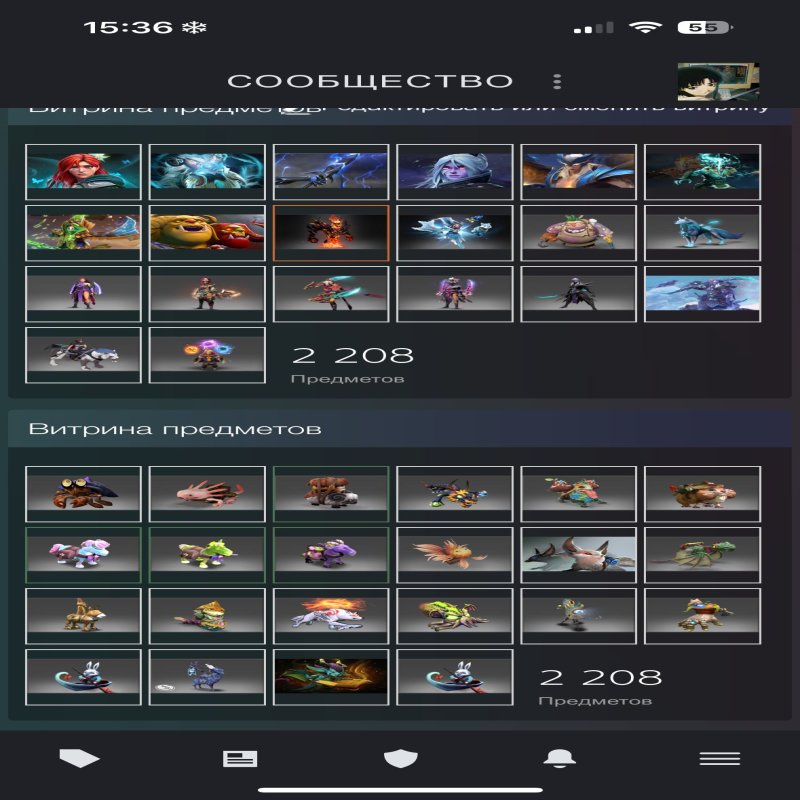 🏅 MMR 1500 | 🕒 5000 hours | 🛡 10000