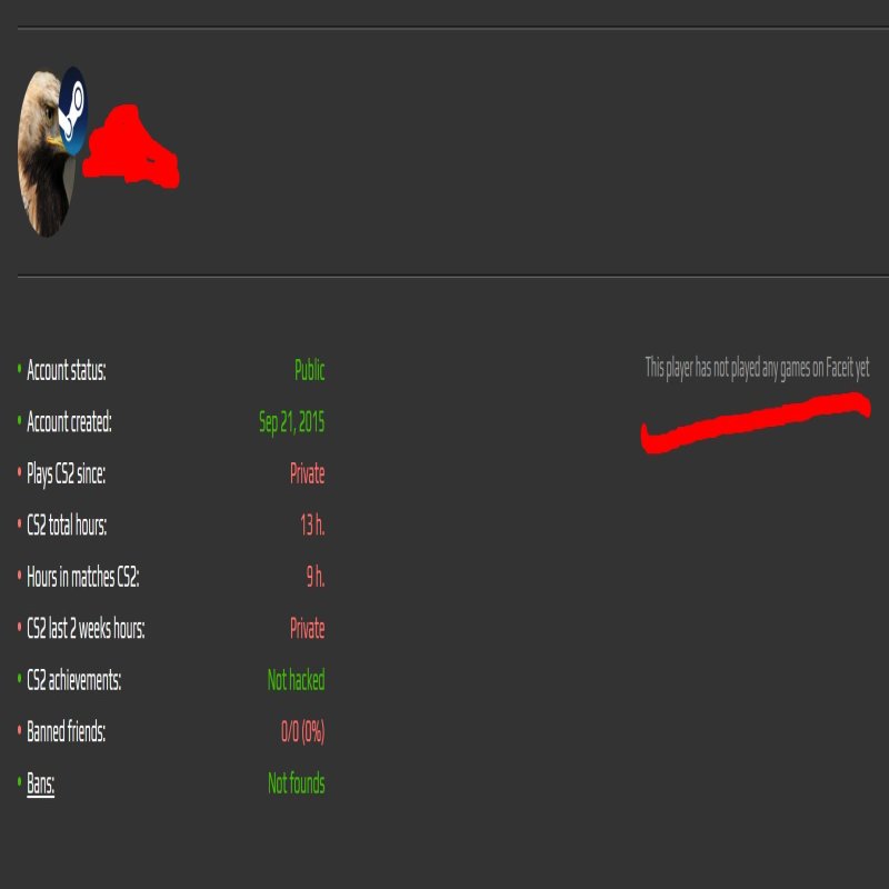 🏆 CS Prime | 🎯 Faceit LVL 3 | 🕒 13 hours — Ready for Matches!