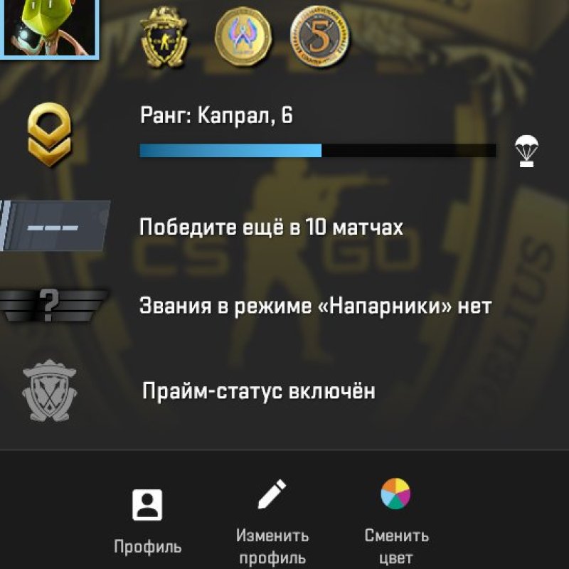 💎 CS2 Prime | 🎯 Ранг 6 | 🕒 43 часа — Готов к рейтингам!