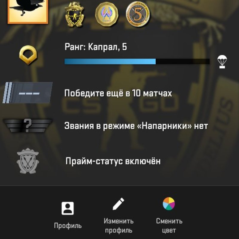 🔥 CS2 Prime | 🎯 Faceit LVL 5 | 🕒 38 hours — Ready for Competitive Matches!