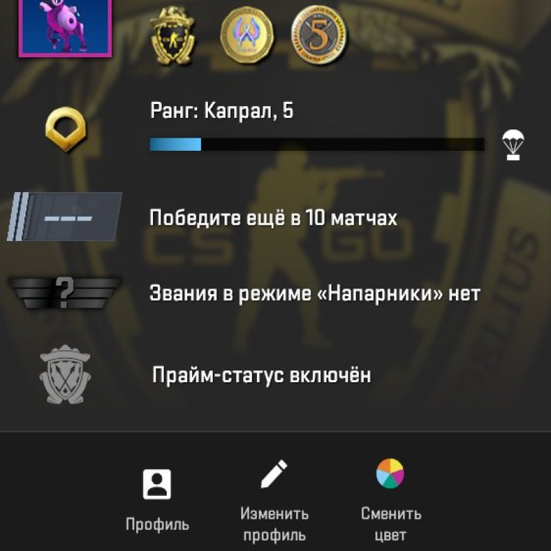 🔥 CS2 Prime | 🎯 Faceit LVL 5 | 🕒 54 години — Готовий до змагальної гри