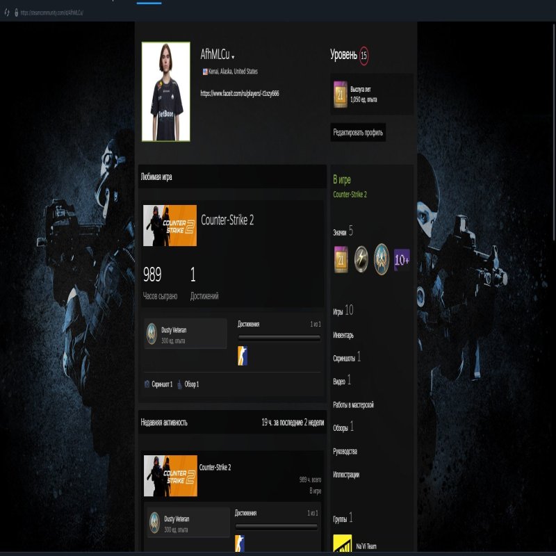 🏆 Faceit LVL 10 | 🎯 2137 ELO | 🕒 990 годин — Готовий до змагальних матчів