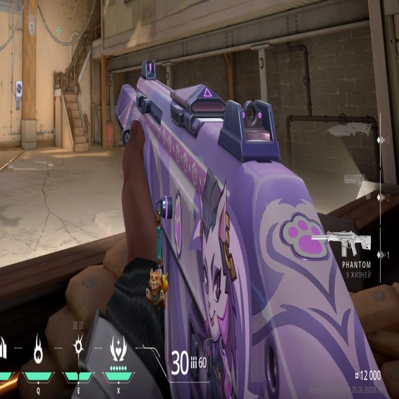 🎯 Valorant account | Rank: Ranked unlocked | LATAM | 14 agents