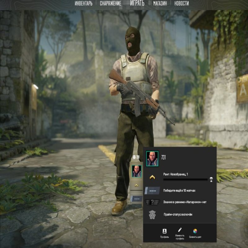 🏆 CS Prime | 🎯 Faceit LVL 4 | 🕒 0 hours — Ready for Matches