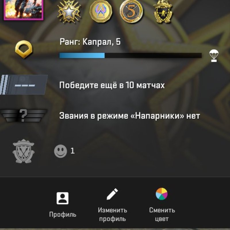 🔥 CS Prime | 🎯 Faceit LVL 5 | 🕒 252 hours — Ready for Competitive