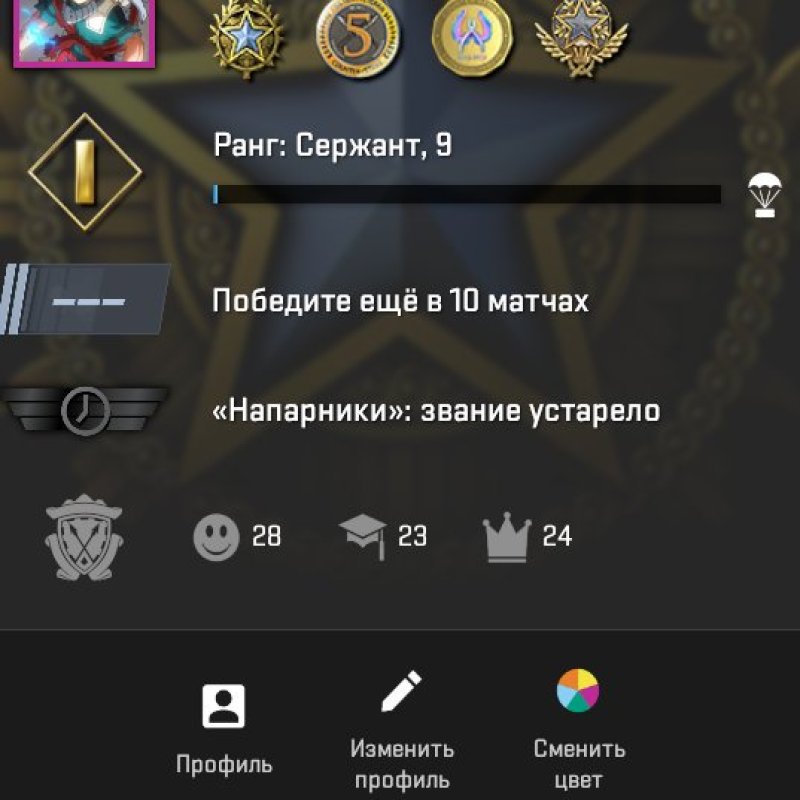 🔥 CS2 PRIME | 🎯 Rank 9 | 🕒 692 hours — Ready for Competitive Matches